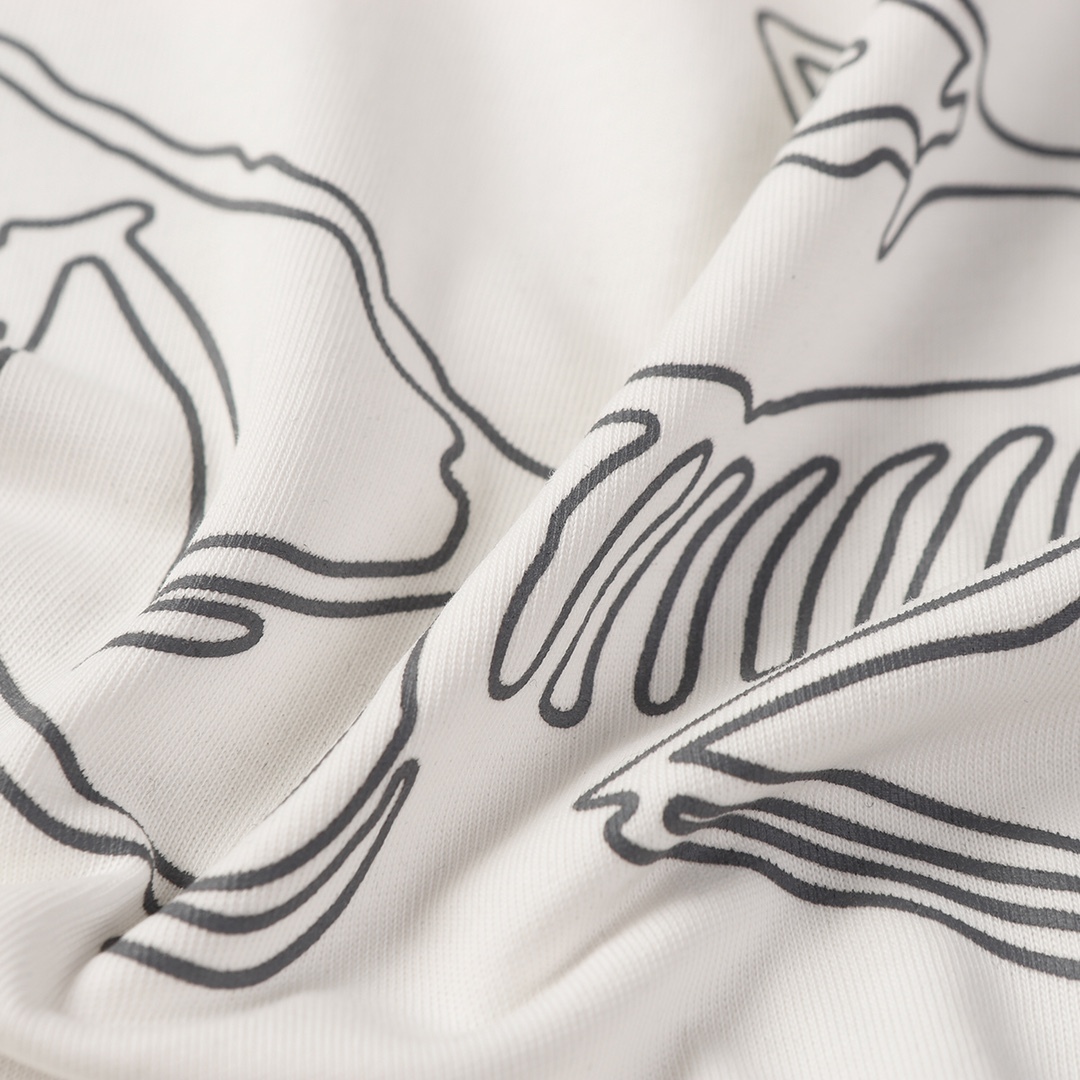 ARC’TERYX＊プリントロゴグラフィック 24SS TEE 売れ筋