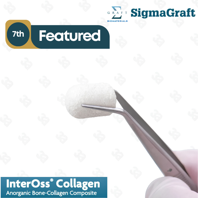 InterOss Collagen Plug Anorganic Bone-collagen Composite