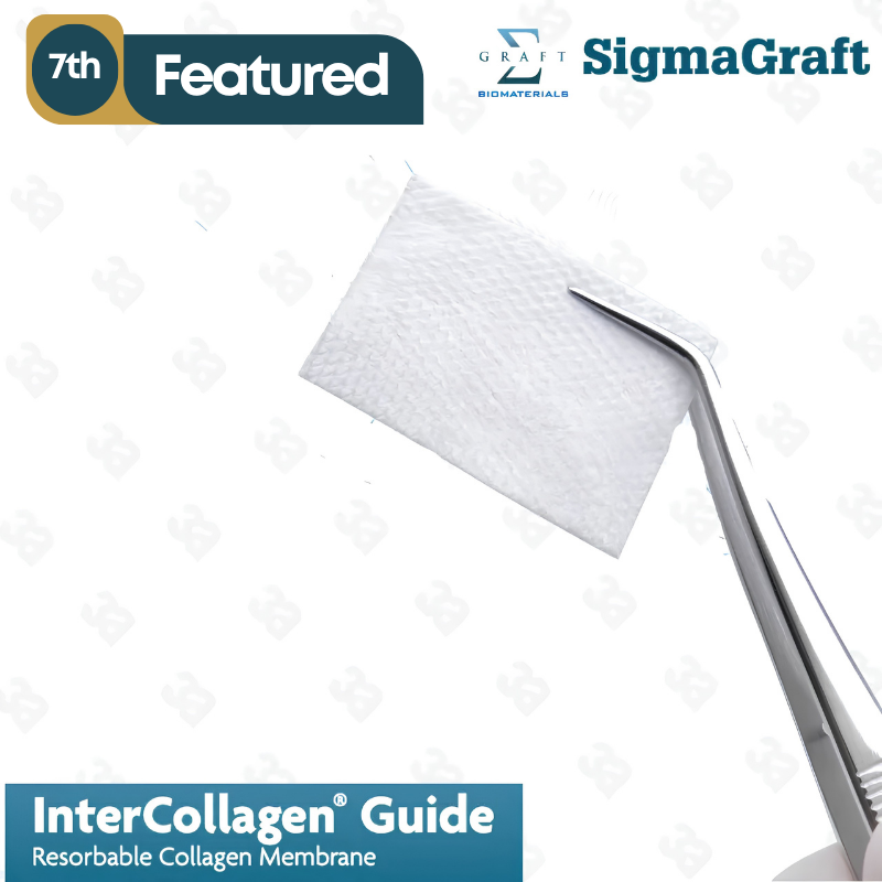 InterCollagen Guide Resorbable Collagen Membrane