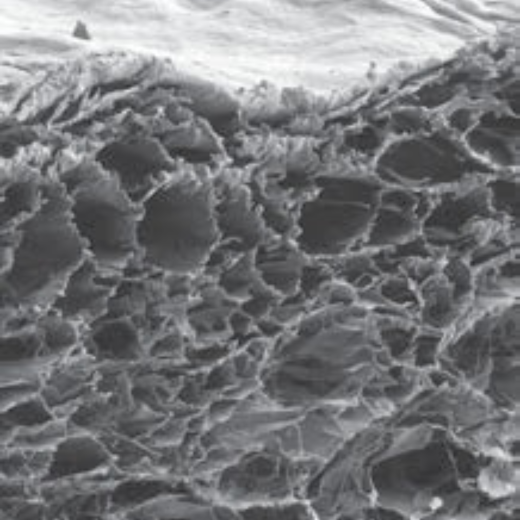 InterCollagen Guide Resorbable Collagen Membrane