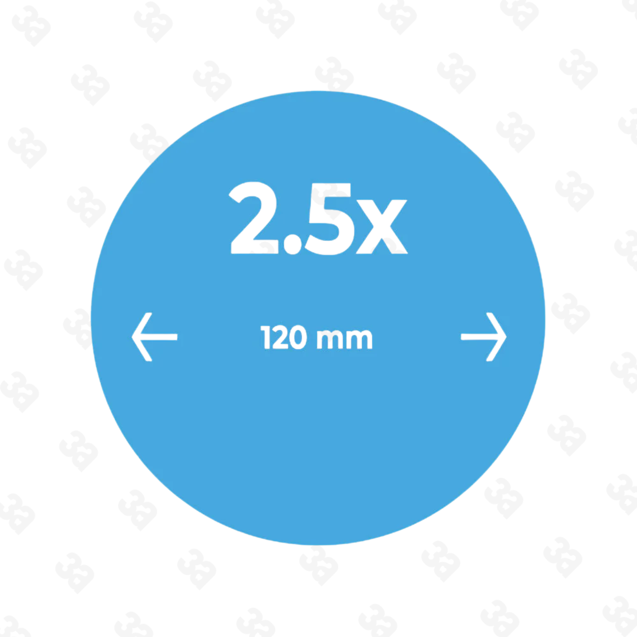 BiLumix™ ERGO 2.5x Loupe