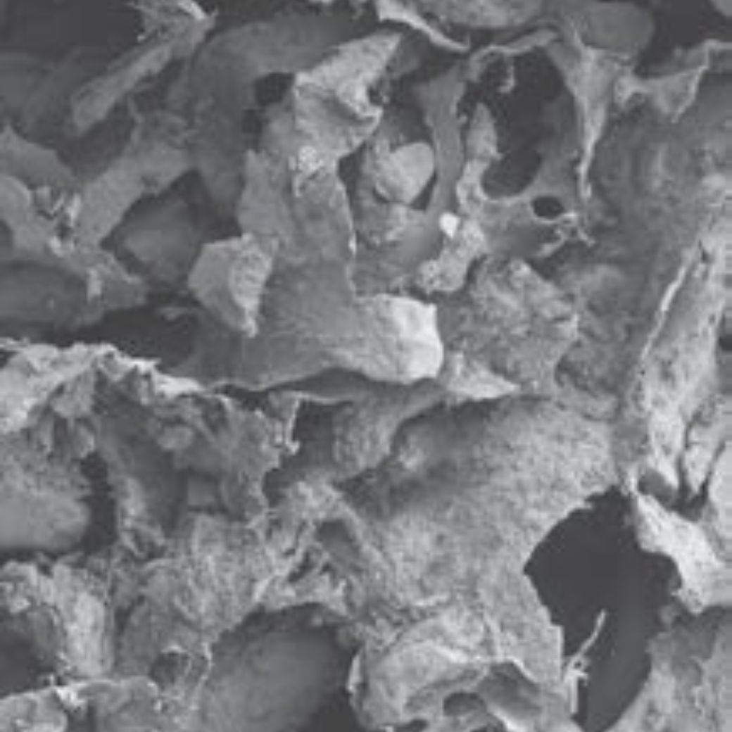 InterOss Collagen Plug Anorganic Bone-collagen Composite