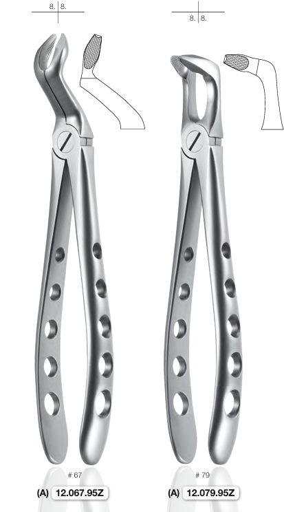 Dental Product Display