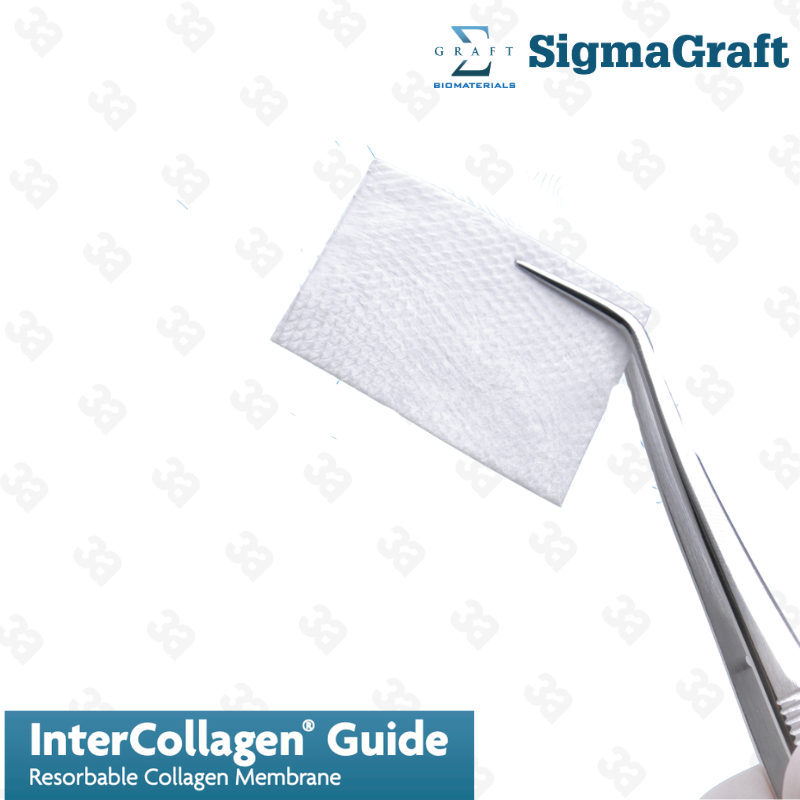 InterCollagen Guide Resorbable Collagen Membrane