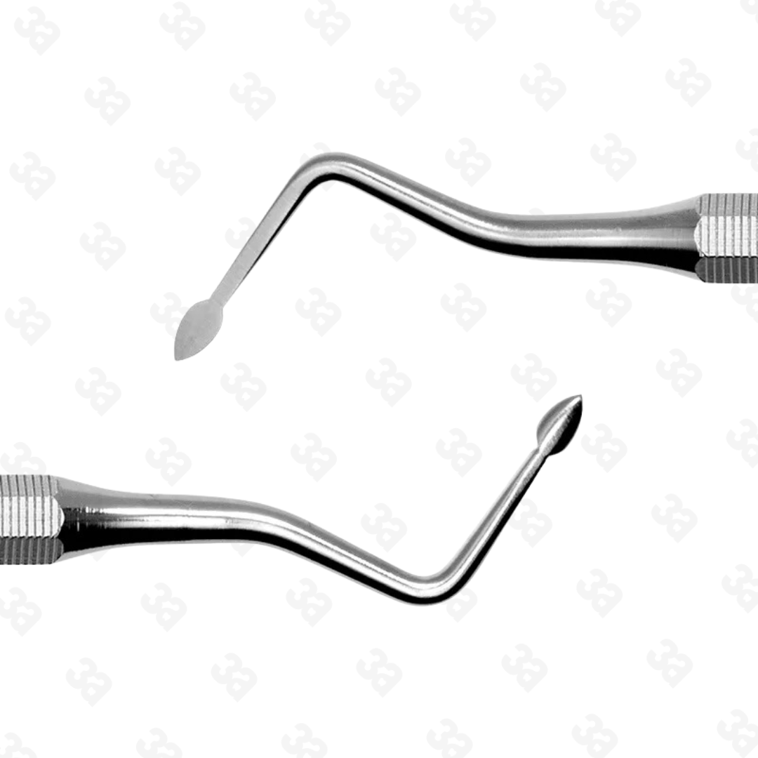 Papillaes elevator AF2