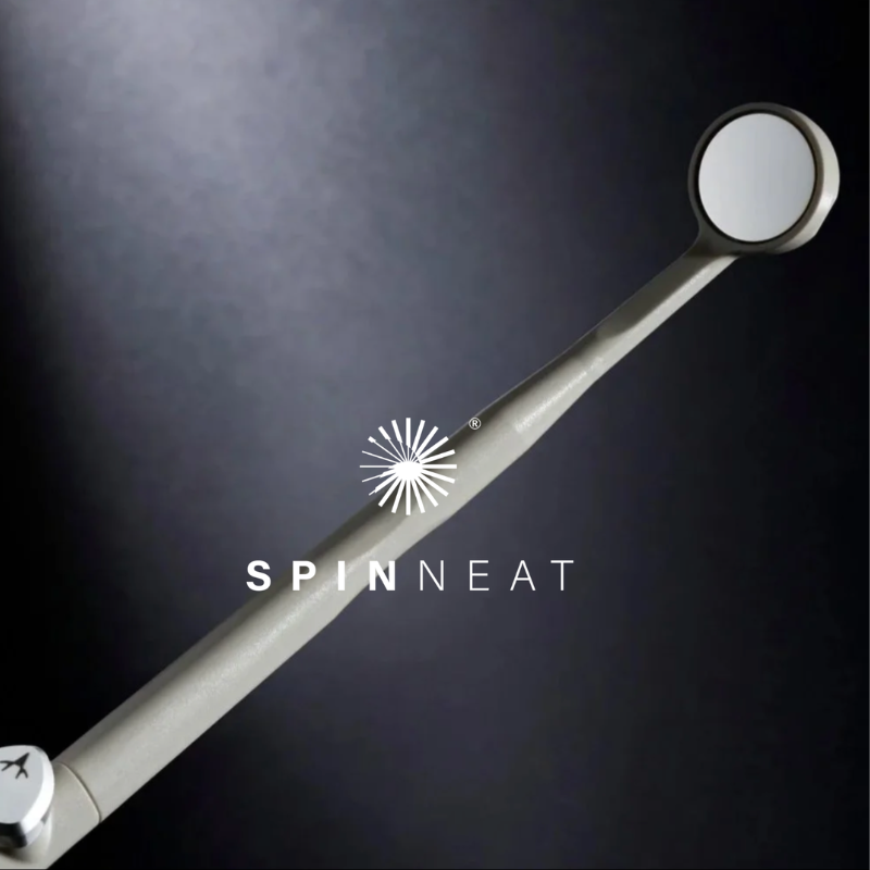 SPINNEAT