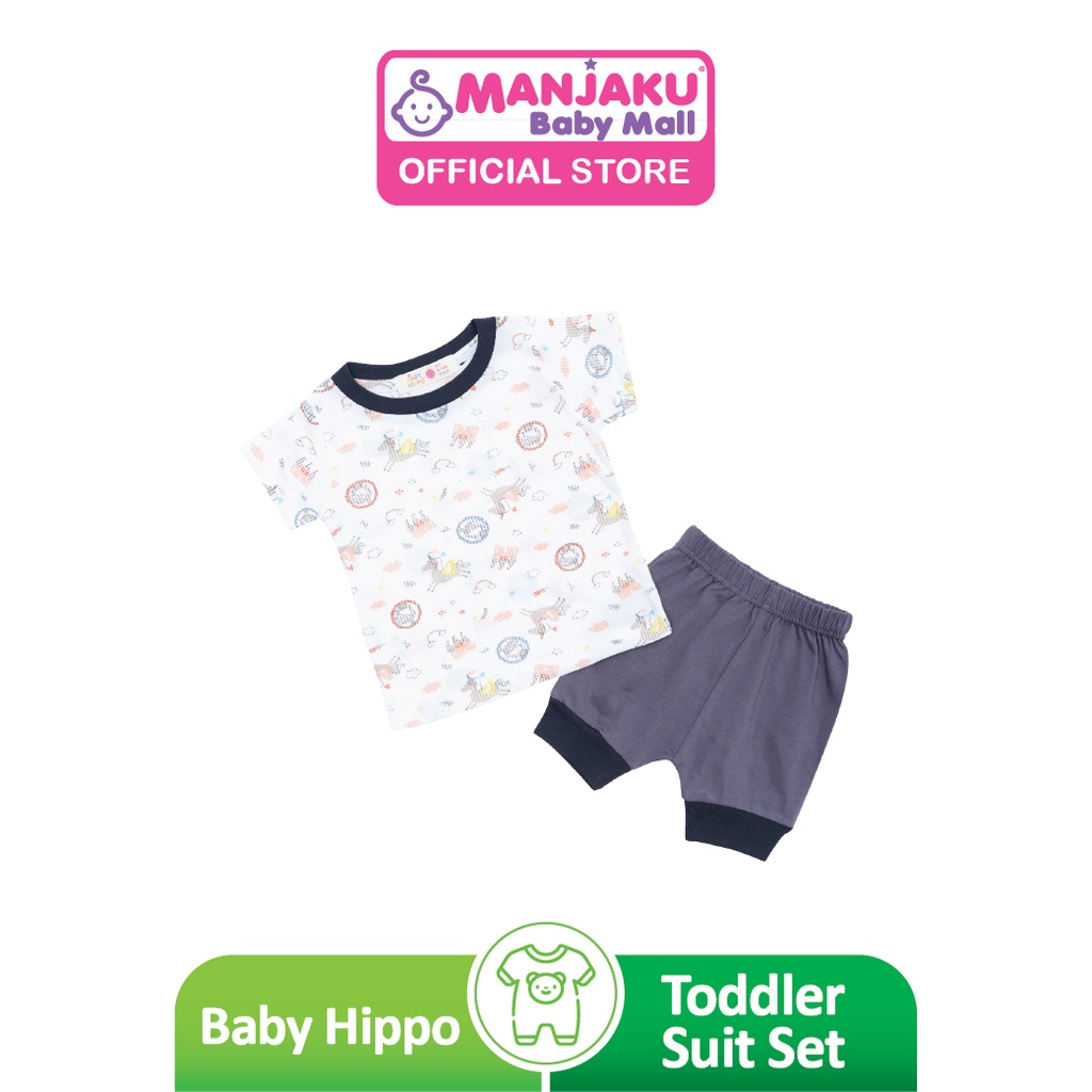 B.HIPPO 2IN1 TOD(HTS0122-19001-WGRY-3Y)