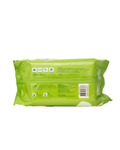 B.HIPPO WIPES 2X120S TRICERATOPS 