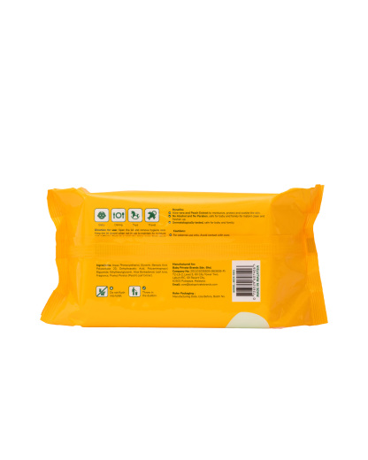 B.HIPPO WIPES 2X120S PARASAUROLOPHUS ( ORANGE )