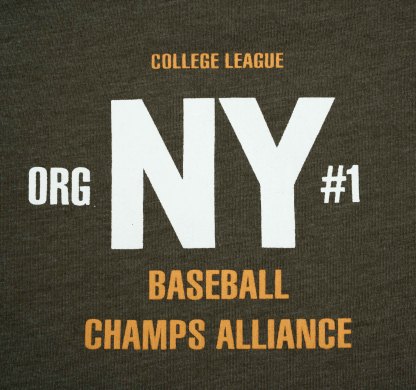 B.HIPPO S/S TOP (HTT0825-10088) - COLLEGE LEAGUE