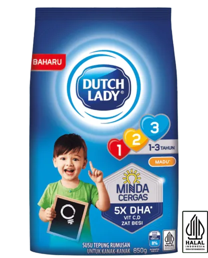 DUTCH LADY GUM 123 PLAIN / HONEY / CHOCOLATE 850G (NEW)