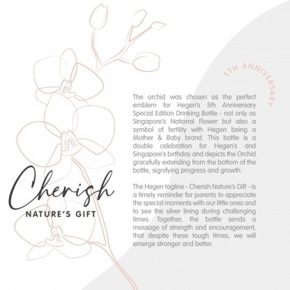 Hegen PCTO??? 330ml/11oz Straw Cup PPSU - Grey (Model: 13190125)