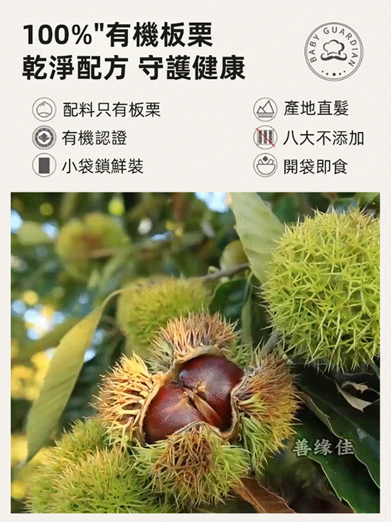 【全台最優】黃金油栗仁