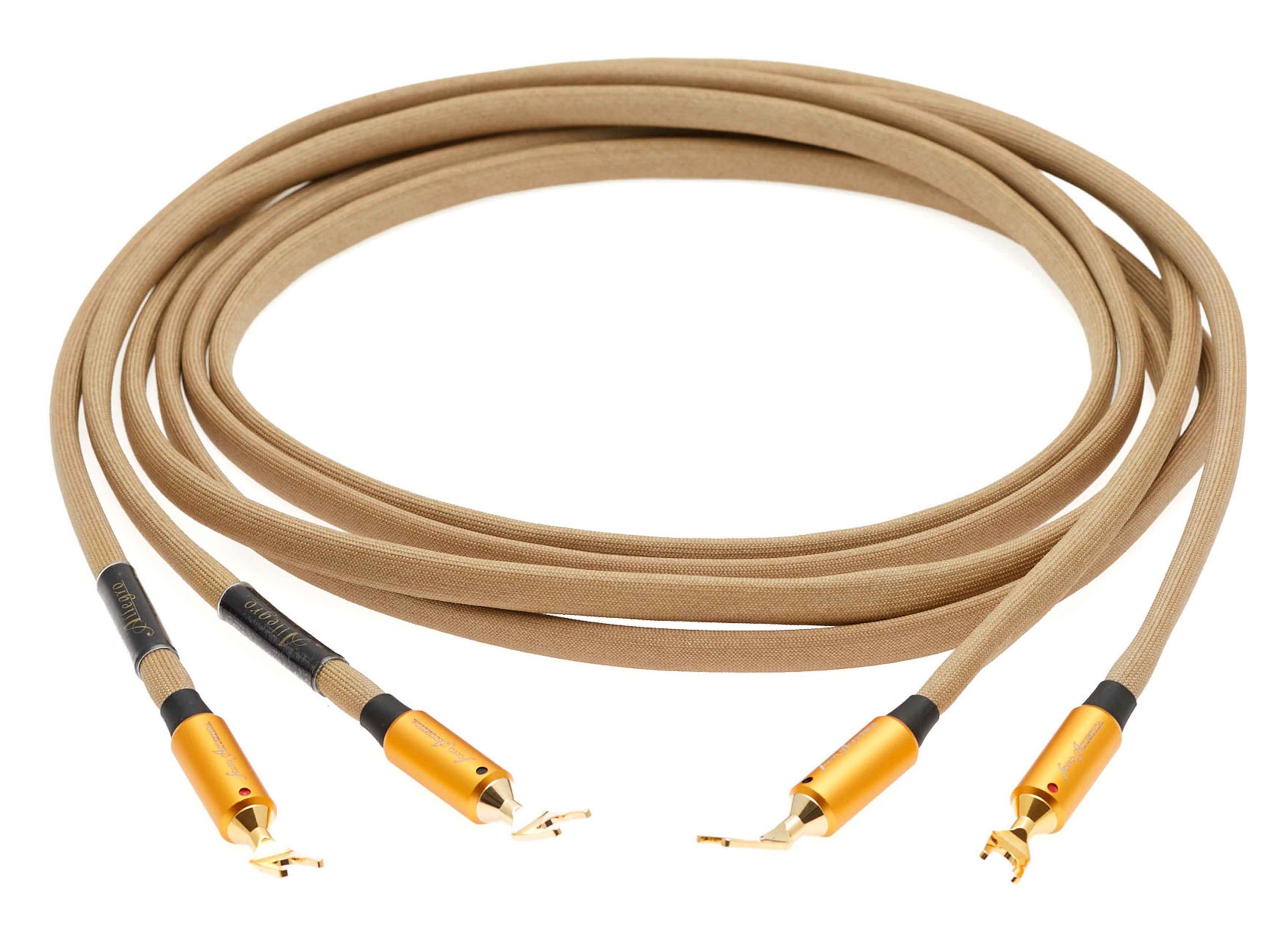 Allegro Speaker cable