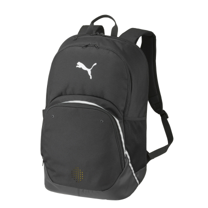 チームファイナル バックパック II（45L）-evesports