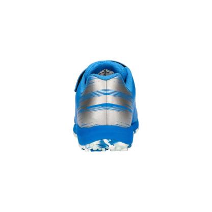 プリモーレ６
アルファVTFジュニア