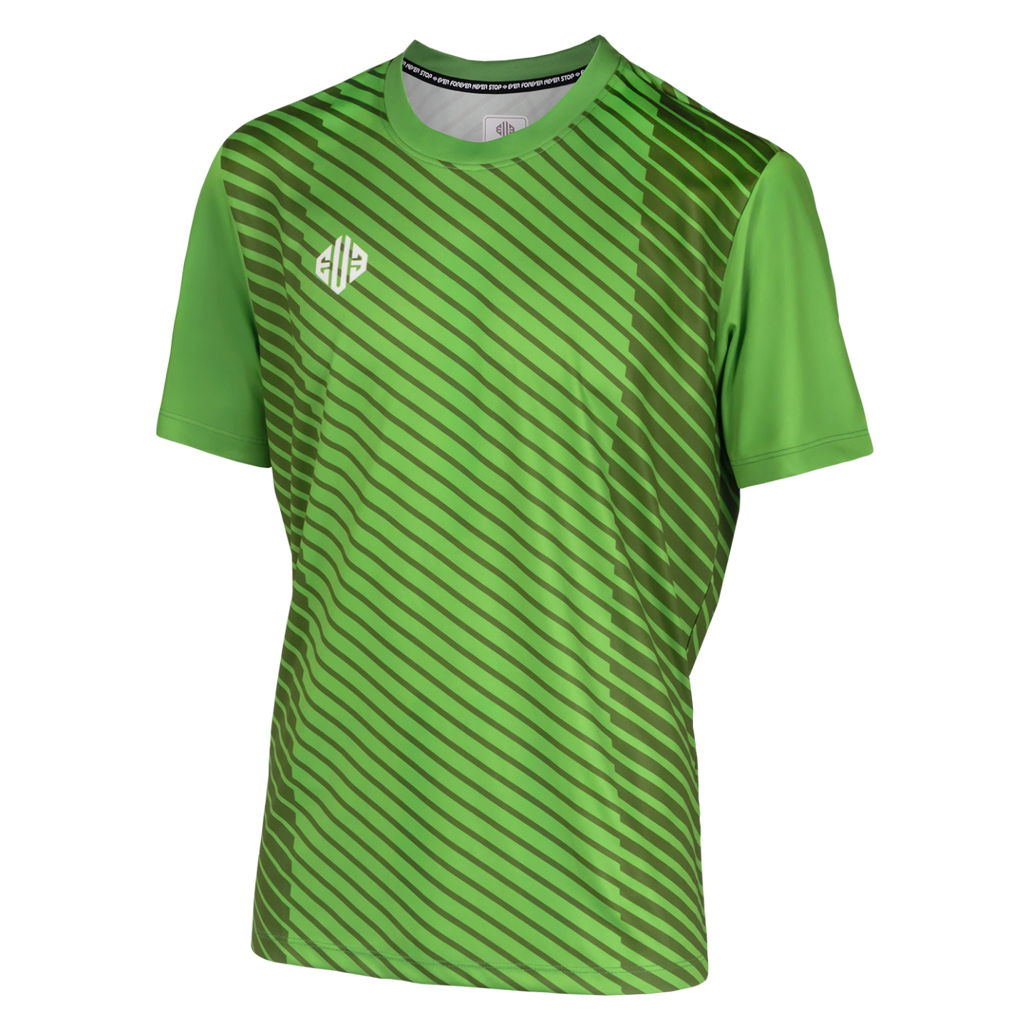 Basic model ゲームシャツ BCS03 [昇華ロゴ]