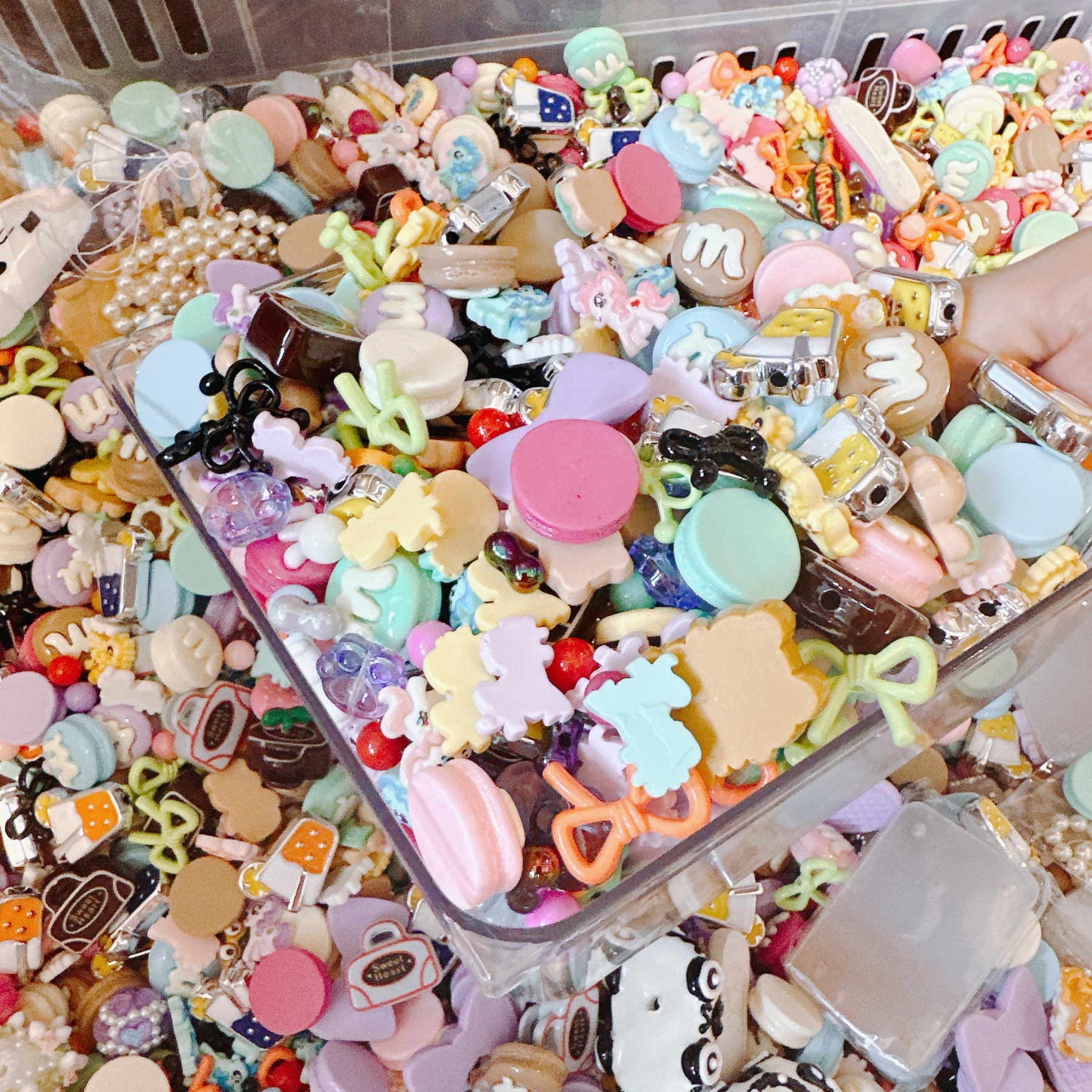 マテちゃんすくい