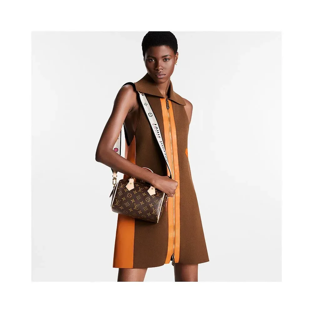 LOUIS VUITTON（ルイヴィトン）スピーディバンドリエール 20