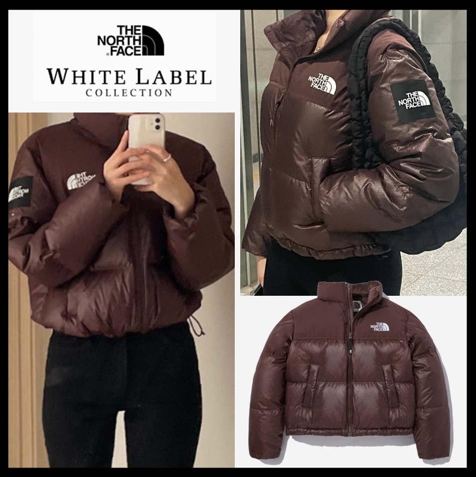 ☆関税込☆THE NORTH FACE★W'S NOVELTY NUPTSE ダウン★BROWN★