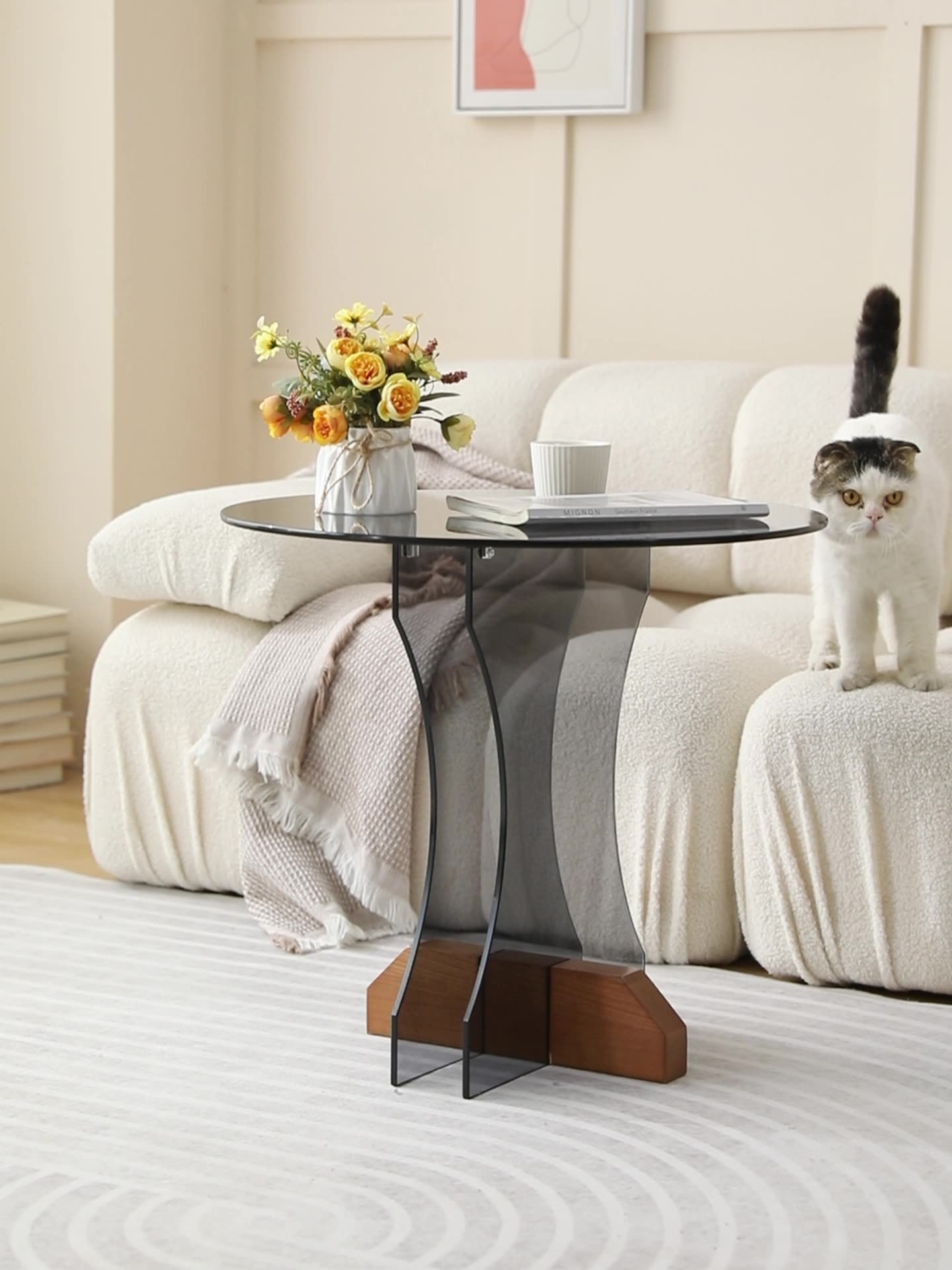 Minimalist Glass Solid Wood Coffee Table