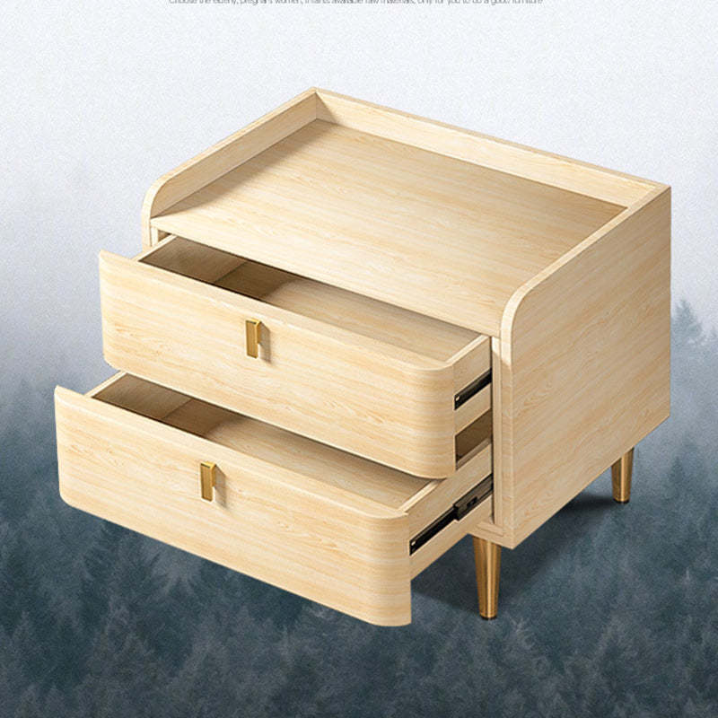 Modern Leather Pine Wood Carbon Steel Nightstand 2-Drawer
