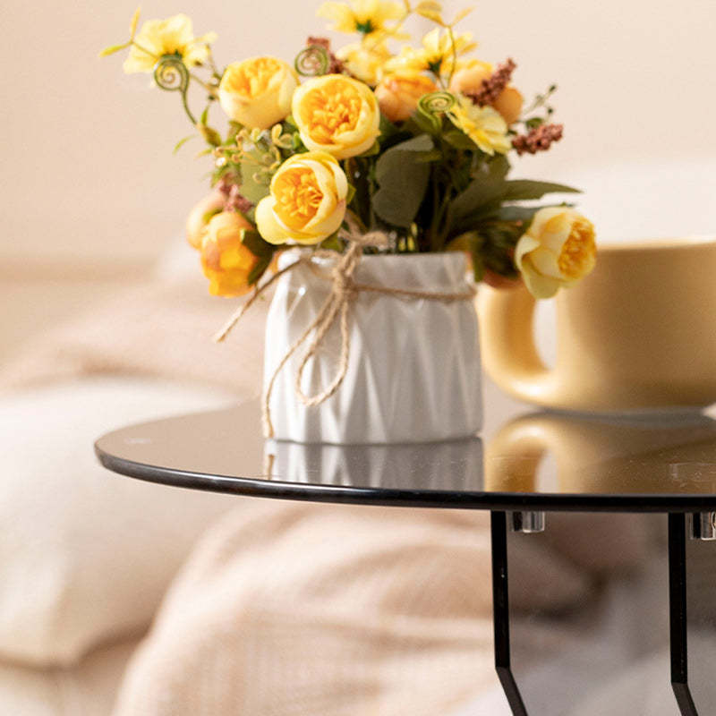 Minimalist Glass Solid Wood Coffee Table