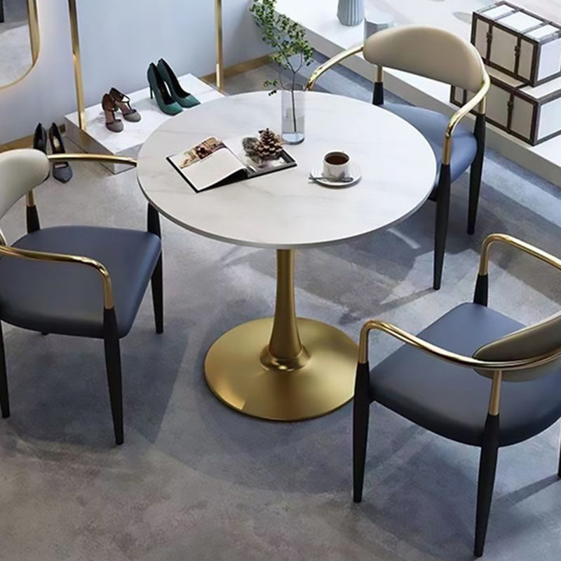 Upholstered Leather Metal Curved Dining Chair