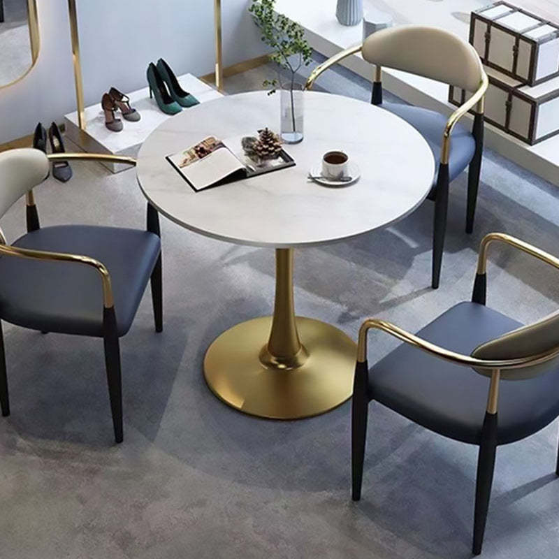 Upholstered Leather Metal Curved Dining Chair