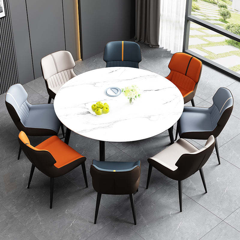 Nordic Leather Carbon Steel Curved Dining Chair