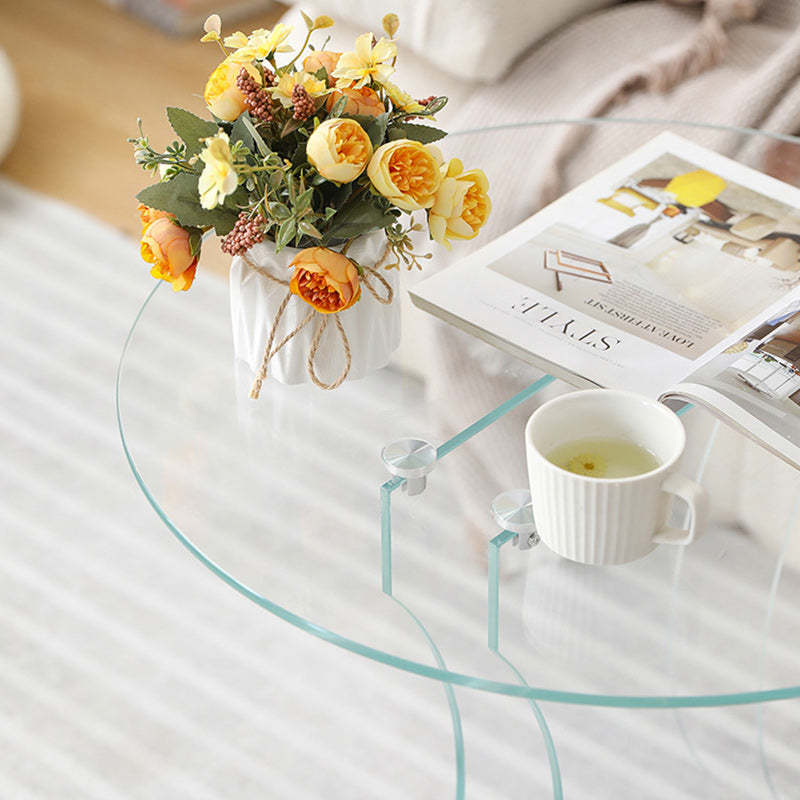 Minimalist Glass Solid Wood Coffee Table