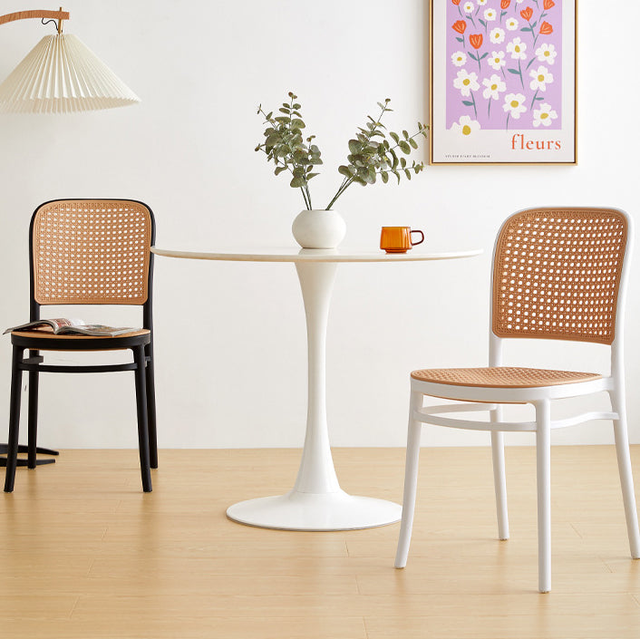 Minimalist Rattan Plastic Dining Chair