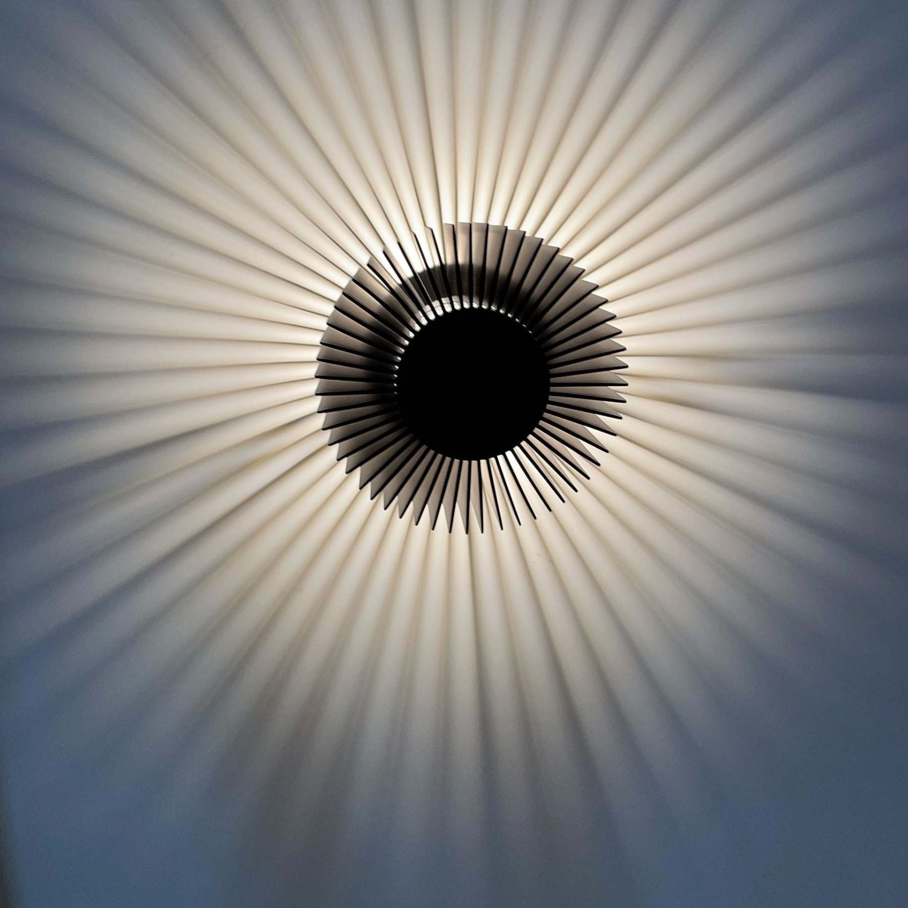 Minimalist Aluminum Sunflower LED Sconce