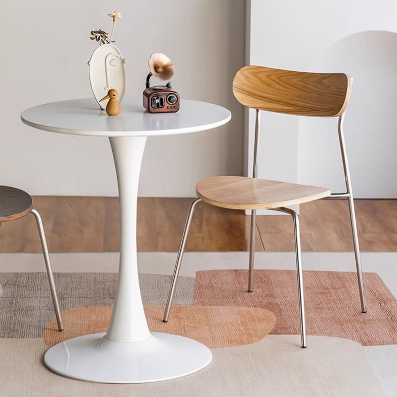 Minimalist Curved Wood Iron Plastic Dining Chair