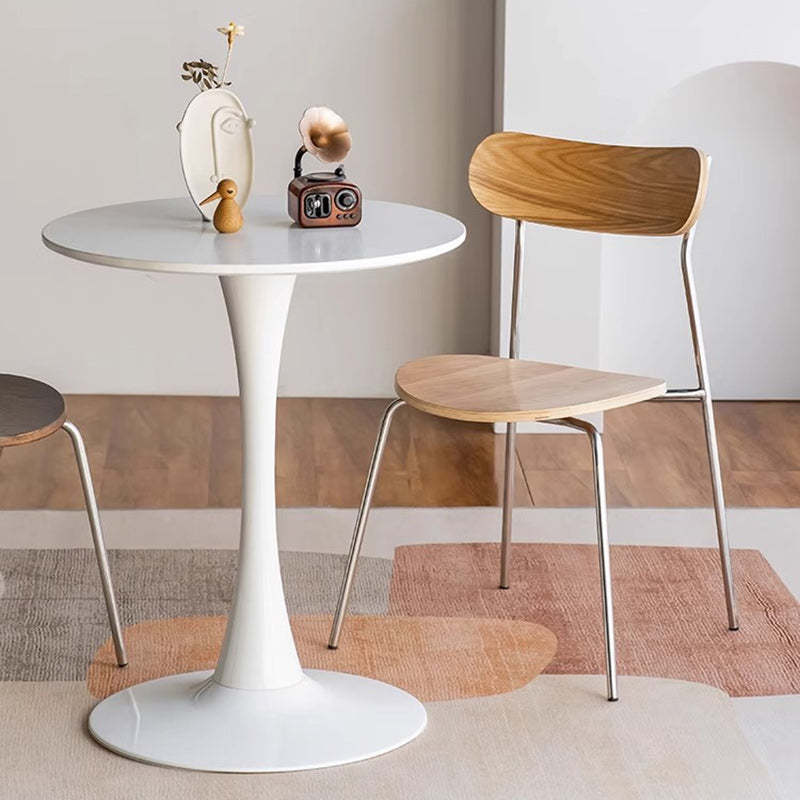 Minimalist Curved Wood Iron Plastic Dining Chair
