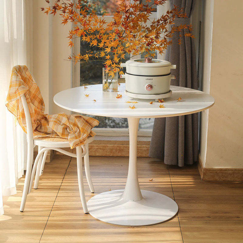 Minimalist Steel Artificial Plate Coffee Table