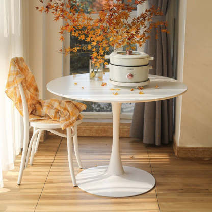 Minimalist Steel Artificial Plate Coffee Table