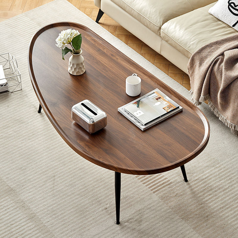 Scandinavian Oval Mango Wood Iron Coffee Table