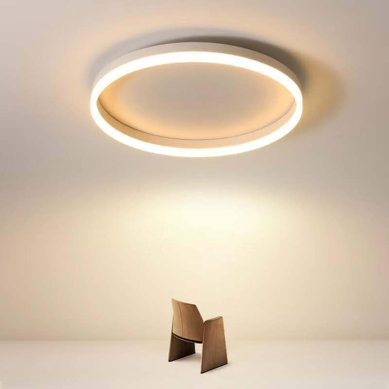 Nordic Circle Ring Iron Acrylic LED Flush Ceiling Light