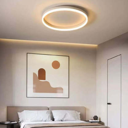 Nordic Circle Ring Iron Acrylic LED Flush Ceiling Light