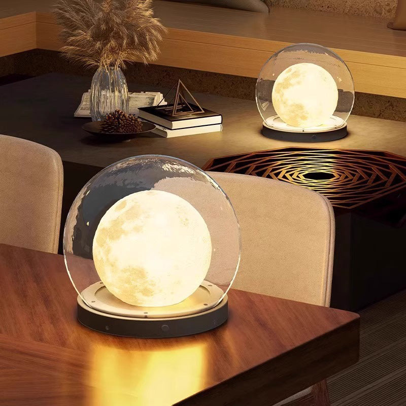 Contemporary Moon Stainless Steel PMMA Outdoor Light