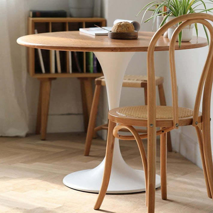 Retro Rattan Beech Metal Arched Dining Chair