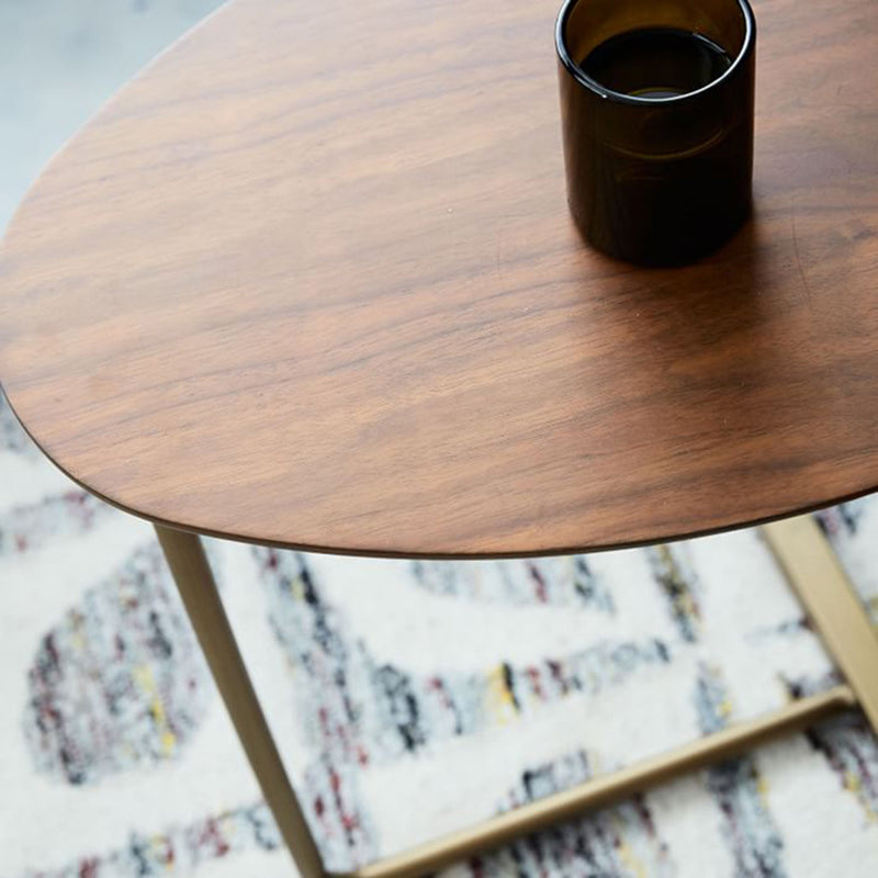 Contemporary Oval Wood Iron 2-Tier End Table