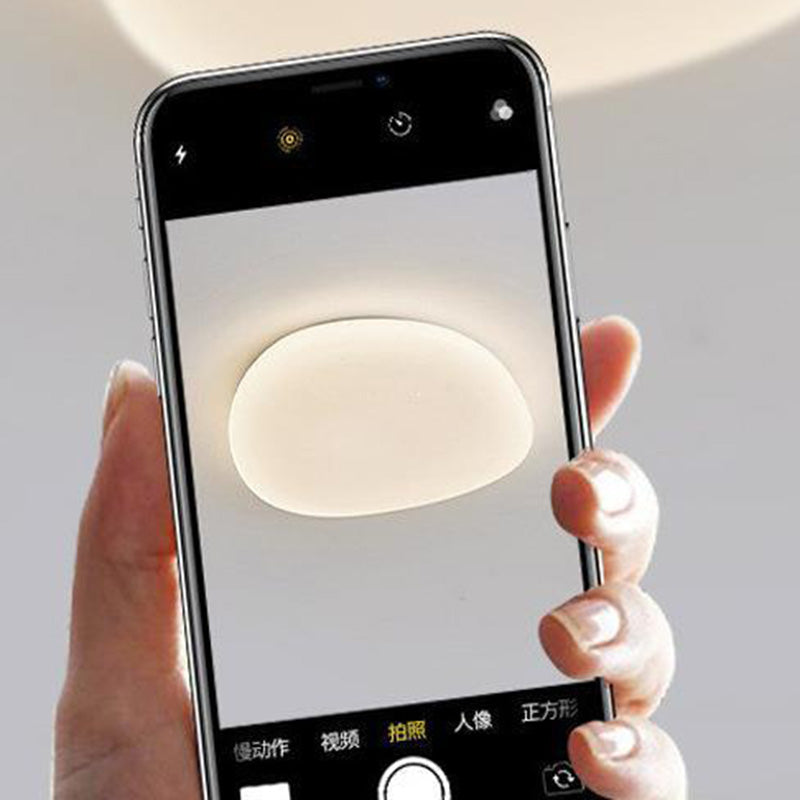 Minimalist Pebble Acrylic LED Flush Mount Light