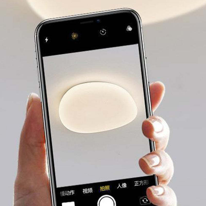 Minimalist Pebble Acrylic LED Flush Mount Light