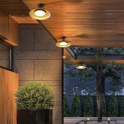 Scandinavian Carbonized Waterproof Ceiling Light