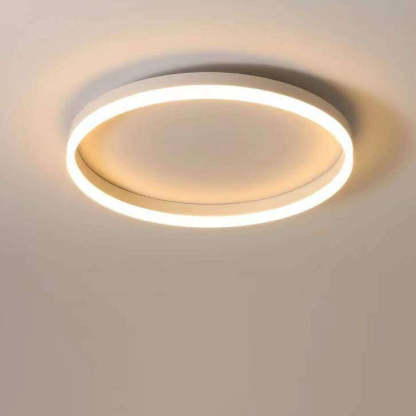 Nordic Circle Ring Iron Acrylic LED Flush Ceiling Light