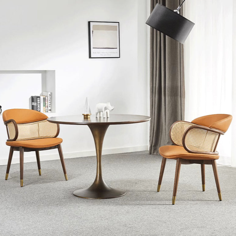 Leather steel rattan accent chairs in wood