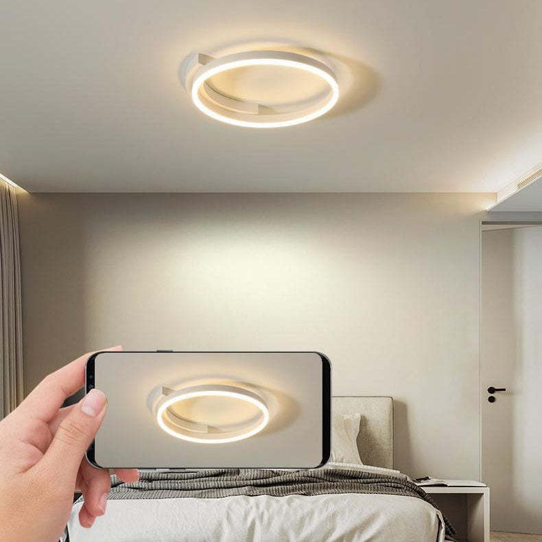 Minimalist Acrylic Aluminum Iron Circle Ring LED Flush Light