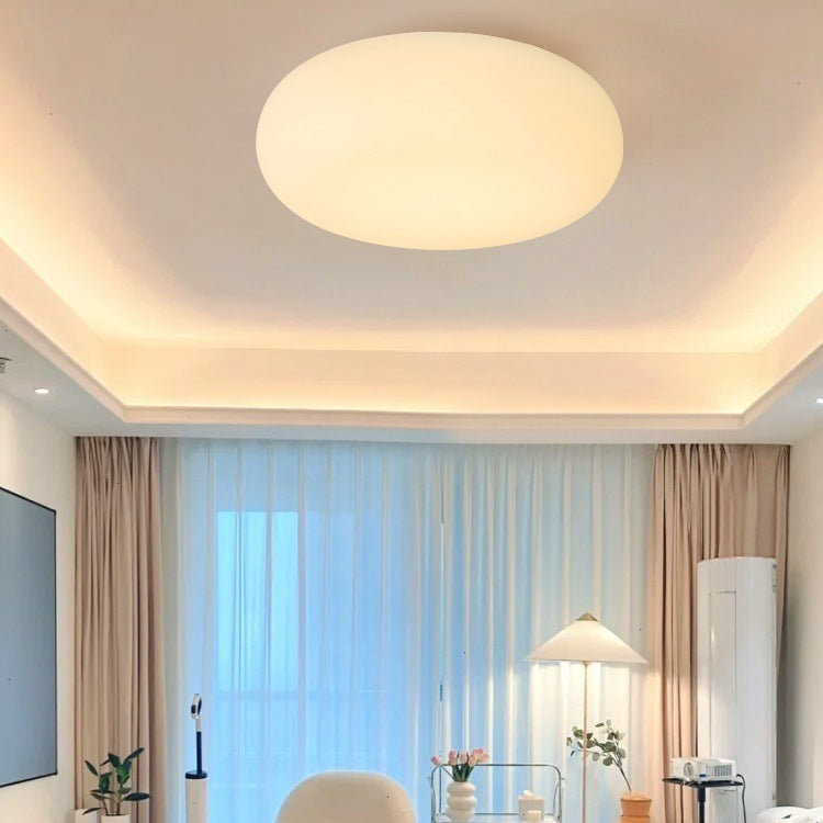 Minimalist Oval Iron LED Flush Mount Light
